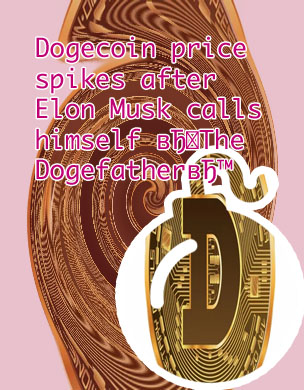Dogecoin cryptocurrency price