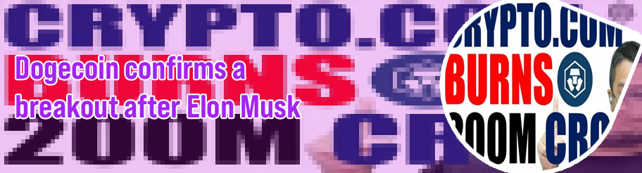 Elon coin on cryptocom