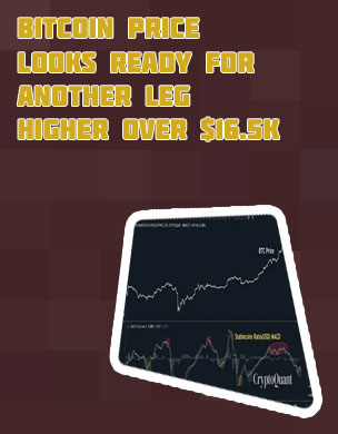 How much is 16 bitcoin worth right now