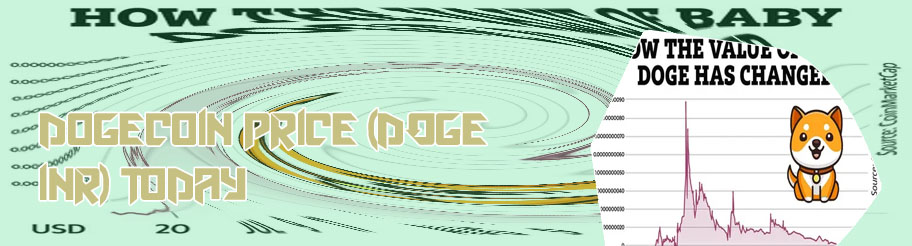 How much is one dogecoin worth