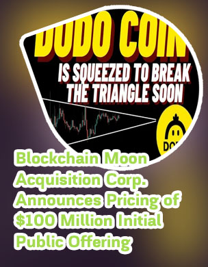Moon crypto price